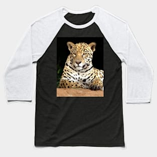 Lying leopard Baseball T-Shirt